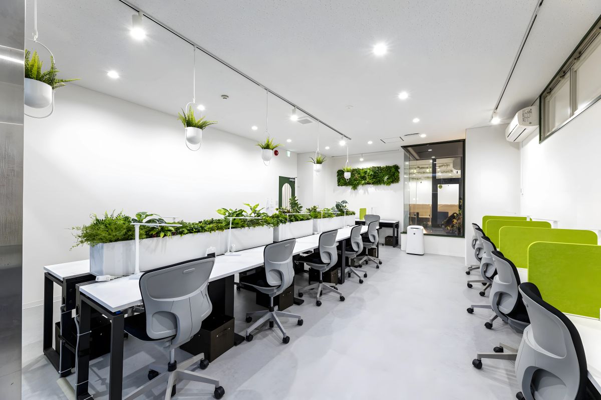 Study Site 西新 外観