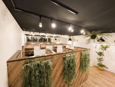 アイデスク関内自習室 内装全体（植物と照明）（画像提供: アイデスク）